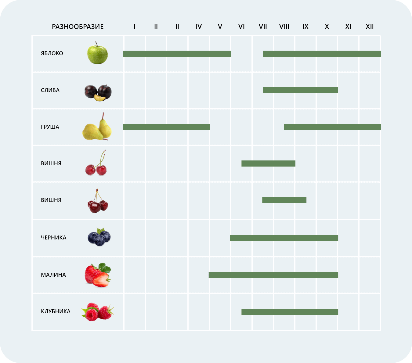 owoce-krajowe-tabela-sezonowosci-RU