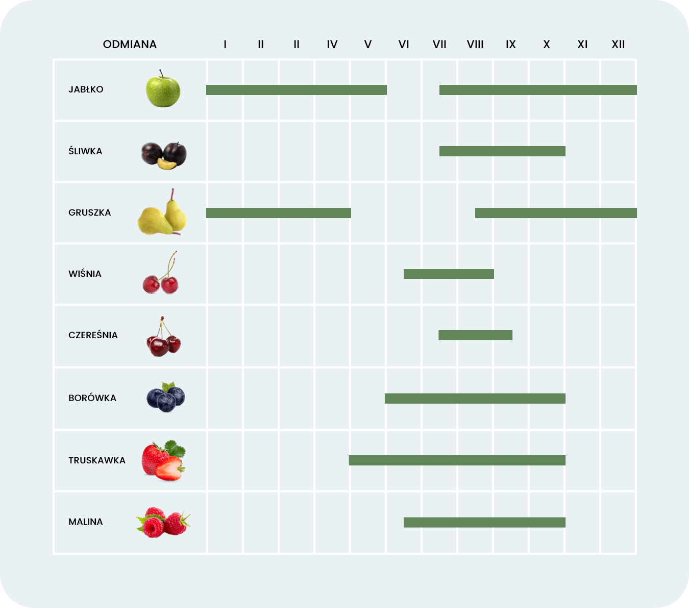 owoce-krajowe-tabela