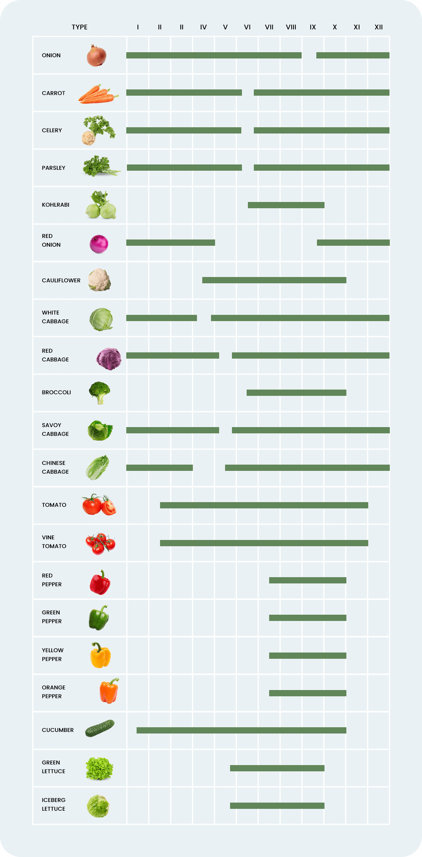 warzywa-krajowe-tabela-sezonowosci-EN