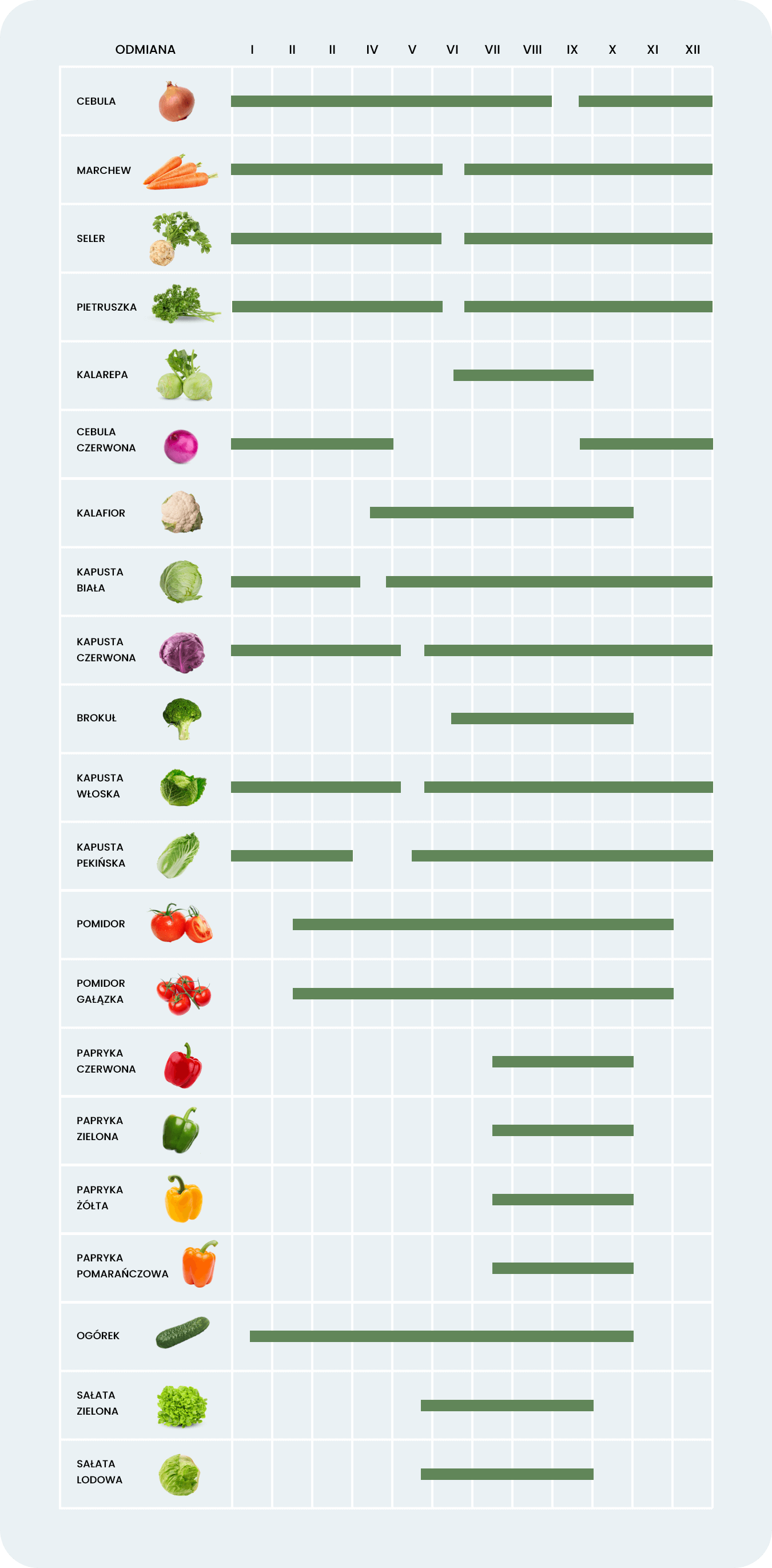 warzywa-krajowe-tabela-sezonowosci